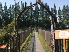 -前小桔亲子创意农场·草莓采摘·露营烧烤