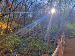 -大岭沟猕猴桃谷风景区