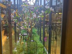 -拈菜(观音桥阳光世纪店)
