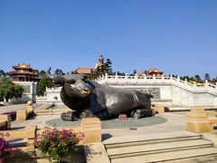 -广东圆玄道观