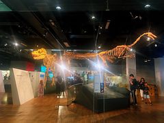 -墨尔本博物馆(Melbourne Museum)