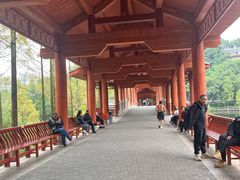 -重庆彩云湖湿地公园