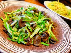 -蒙古苍狼蒙餐