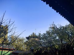 -宫事颐庭·老佛爷贵寿下午茶(颐和园店)