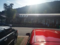 -呼吸森林·生态农庄农家乐私房菜