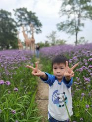 点击看大图 -季高兔窝窝亲子园(上海薰衣草公园店)