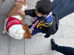 -龙华素斋(龙华路店)