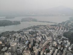 -紫峰大厦