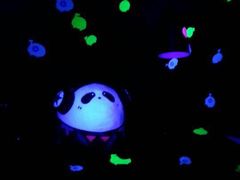 -上海世茂广场(南京东路店)