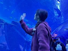 -成都浩海立方海洋公园