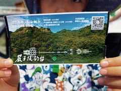 -严子陵钓台(富春江小三峡)