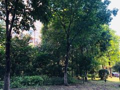 -保利·罗兰香谷