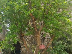 -三个渔夫·蒸汽海鲜(小白楼店)