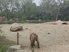 -沈阳森林动物园