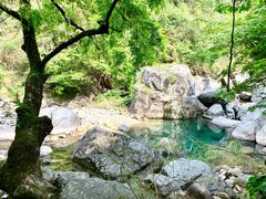 -石台牯牛降景区