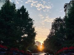 -昆山城市生态森林公园