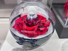 -ROSEONLY诺誓(沈阳万象城店)