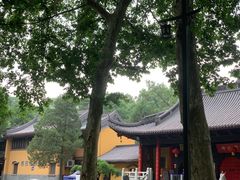 -灵谷景区