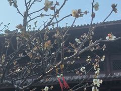 -钱王祠