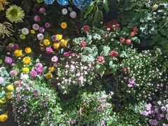 -杭州植物园
