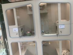 -唐小姐の私宠·宠物洗护美容·撸猫馆·购宠(周浦万达旗舰店)