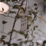这次到店我真是惊了 不愧是乐清top吧hhh