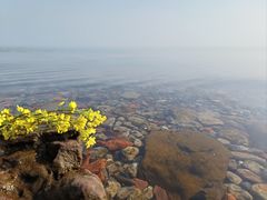 -巢湖姥山岛