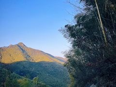 -镇江市南山风景名胜区竹林景区