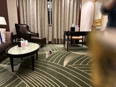 -常州武进九洲喜来登酒店