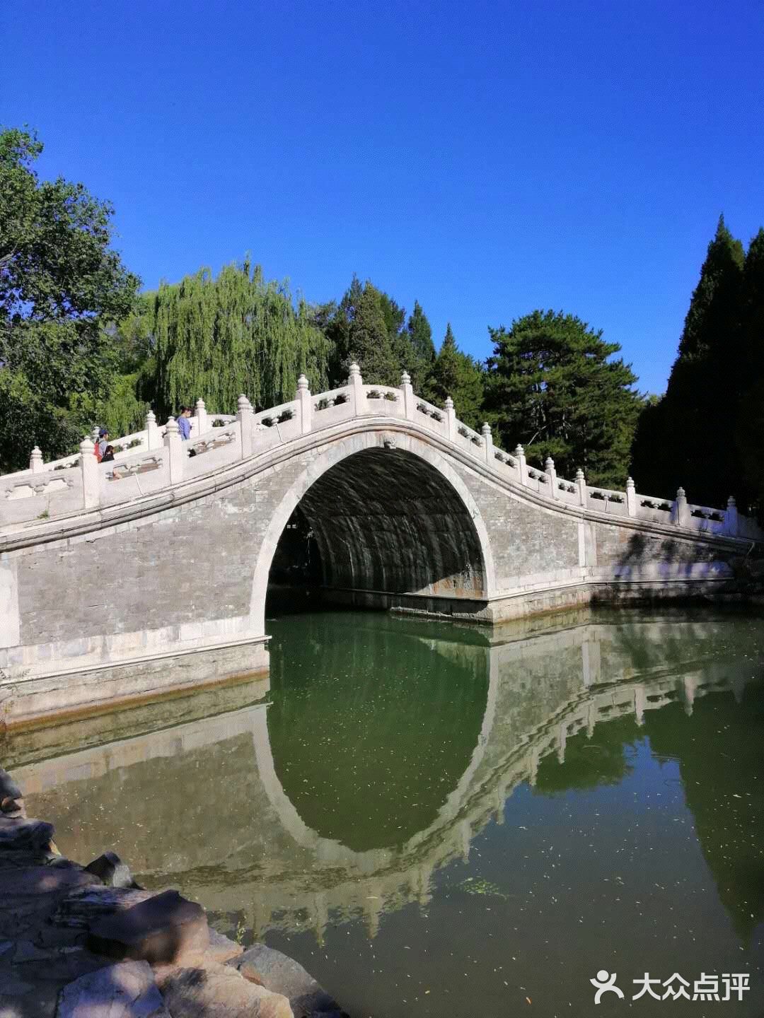 散步♀️在公园里，仿佛进入仙境一般的美哉美哉
