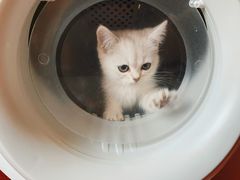 -1013 PET SHOP 宠物商店(近铁城市广场店)