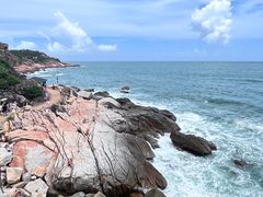 -广东惠东海龟国家级自然保护区