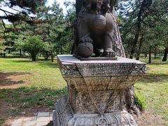-沈阳市东陵公园