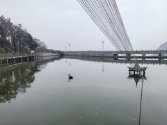 -沂蒙山旅游区云蒙景区(蒙山国家森林公园)