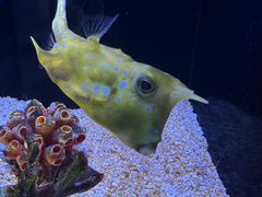 -上海海洋水族馆