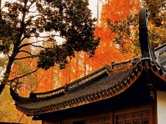 -上海醉白池公园