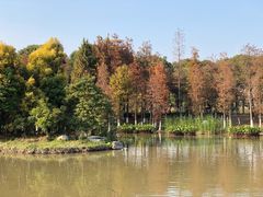 -海珠湖公园