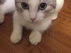 -幸福蓝海国际影城(苏州凤凰店)