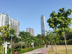 -广州珠江公园
