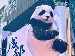 -合景·悠方(成都店)