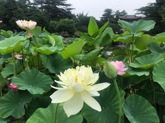 -国家植物园南园