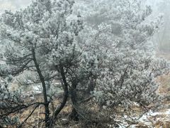 -崂山巨峰游览区