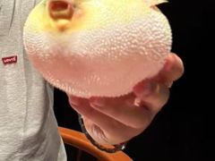 -永安鱼庄·镇江菜(东吴路店)