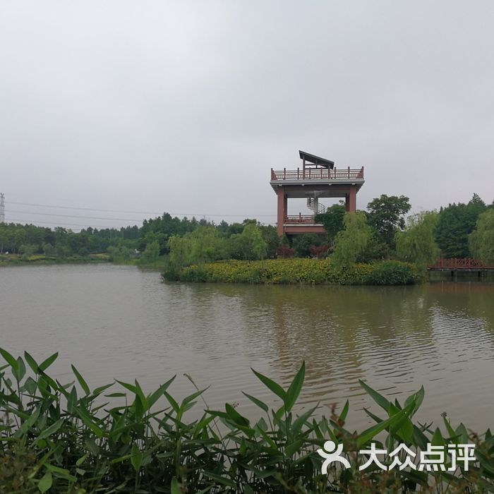 康桥生态园沔西绿地