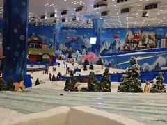 -湘江欢乐城欢乐雪域