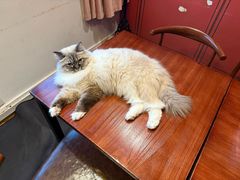 -剧狐剧本杀·月球探案馆(人民广场1号店)