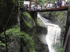 -牛背梁国家森林公园