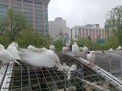 -泉城广场
