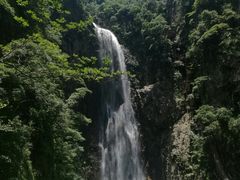 -旗山国家森林公园