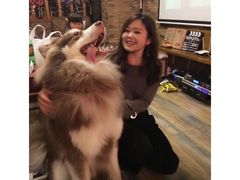 -玩坞轰趴馆·户外团建聚会主题生日派对馆(世豪广场店)